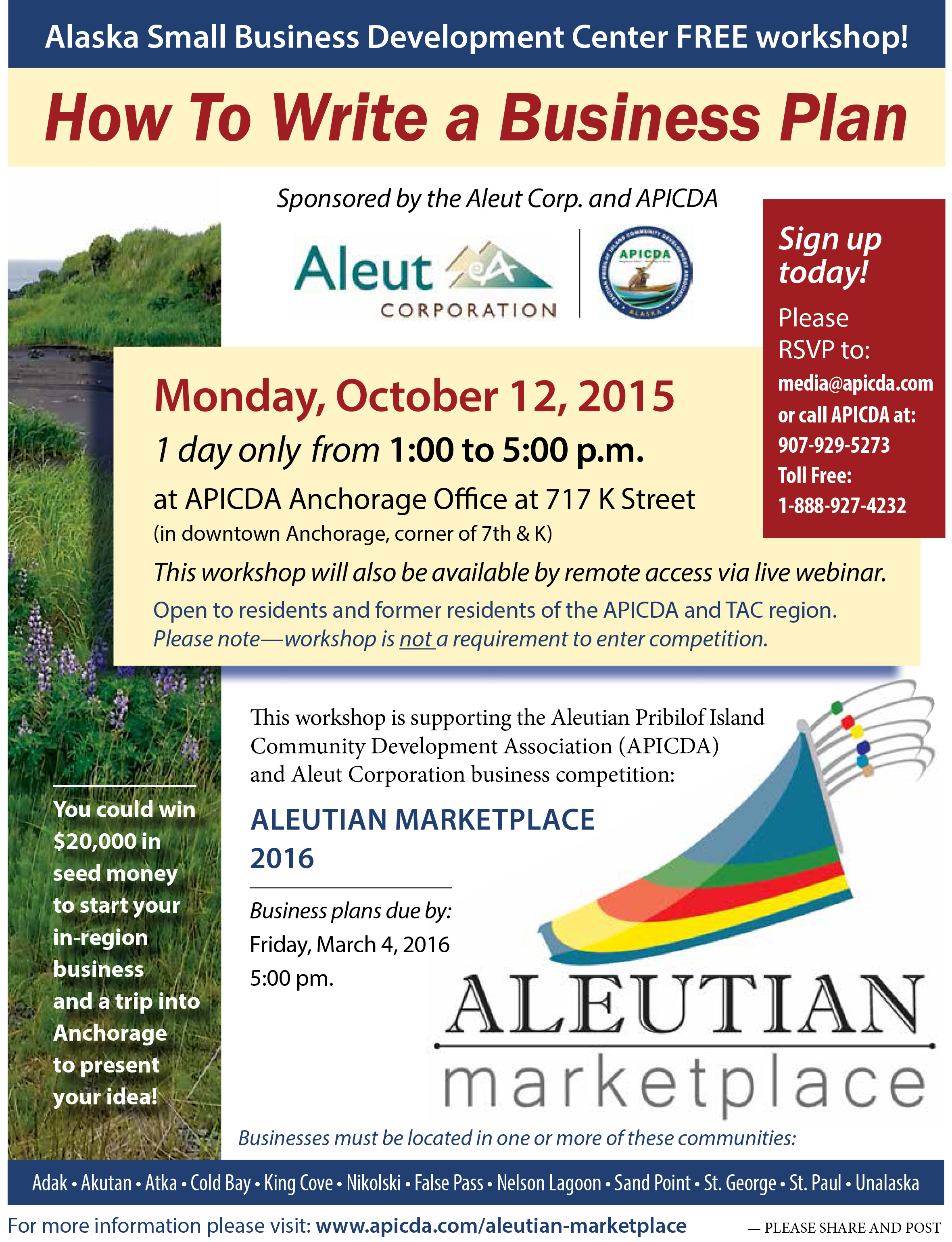 Company business plan sample picture